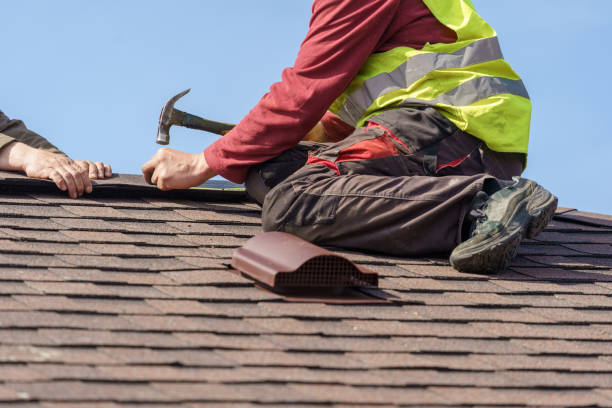 Best Roof Gutter Cleaning  in Galva, IL